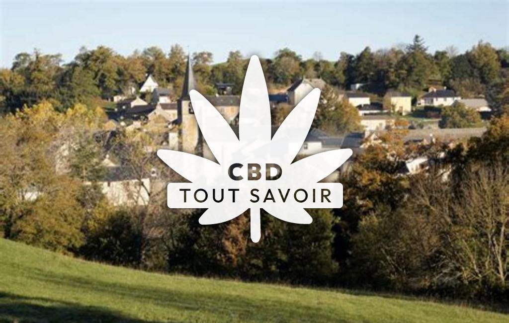 Village à Prades-Salars avec feuille Cannabis CBD