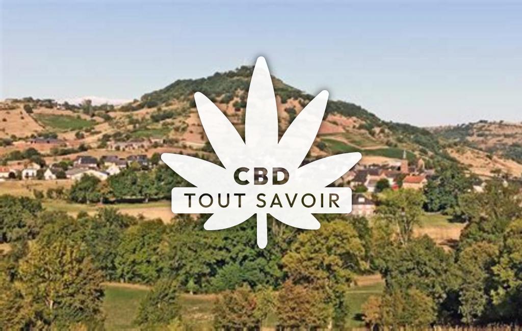 Village à Saint-Christophe-Vallon avec feuille Cannabis CBD