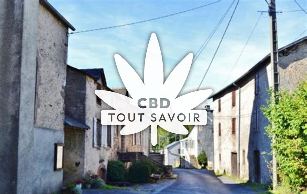 Village à Laval-Roqueceziere avec feuille Cannabis CBD