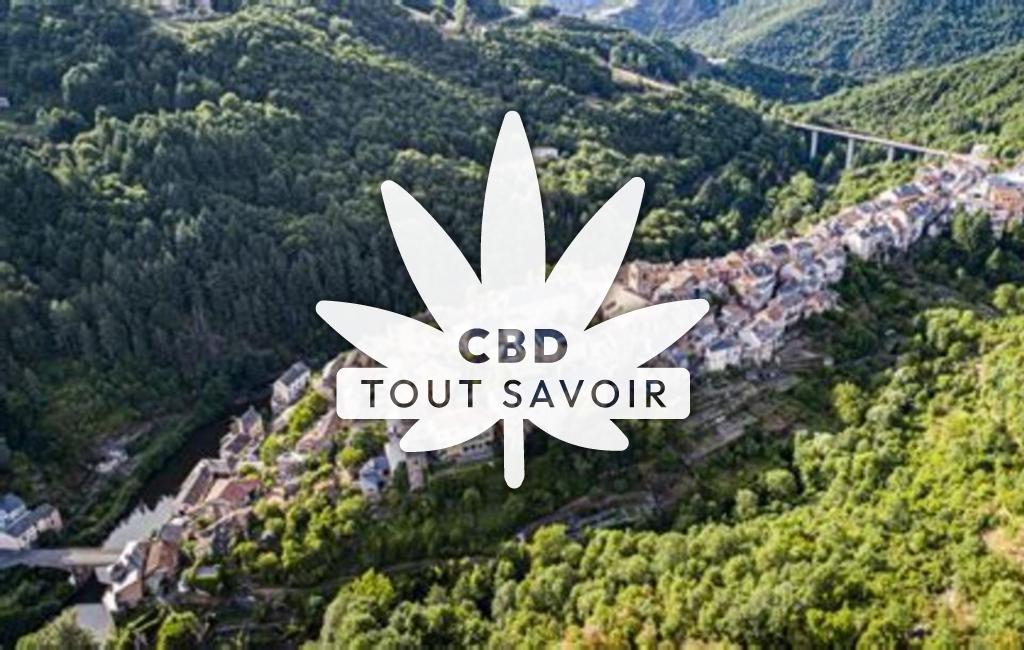 Village à Saint-Sernin-sur-Rance avec feuille Cannabis CBD