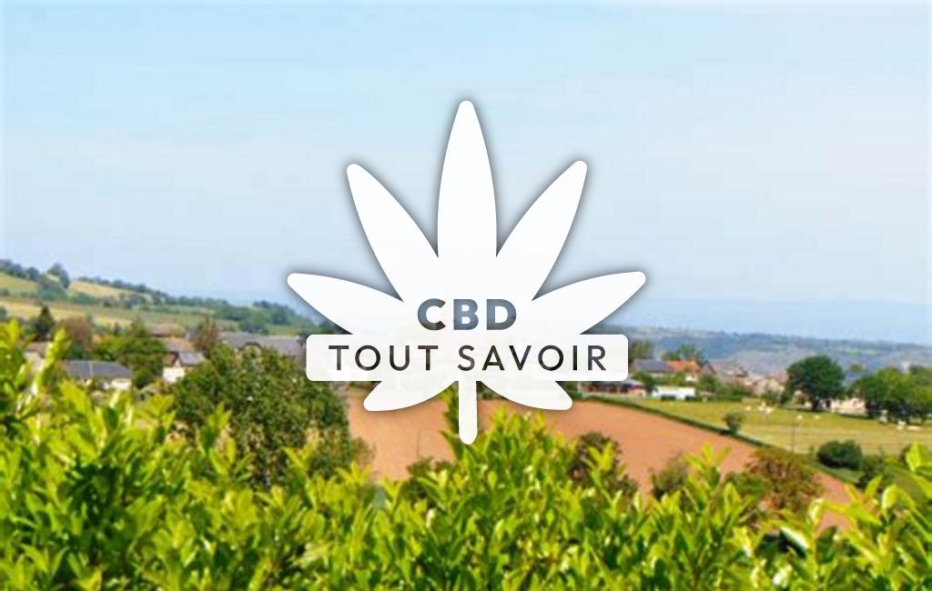 Village à Mayran avec feuille Cannabis CBD