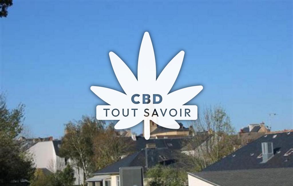 Village à Rignac avec feuille Cannabis CBD