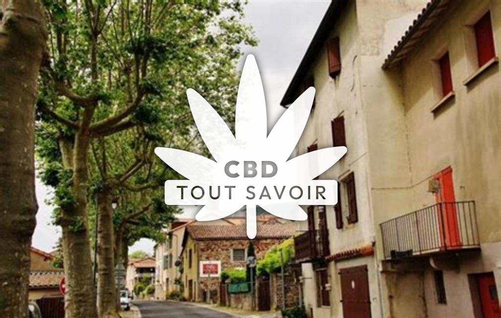 Village à Saint-Felix-de-Sorgues avec feuille Cannabis CBD