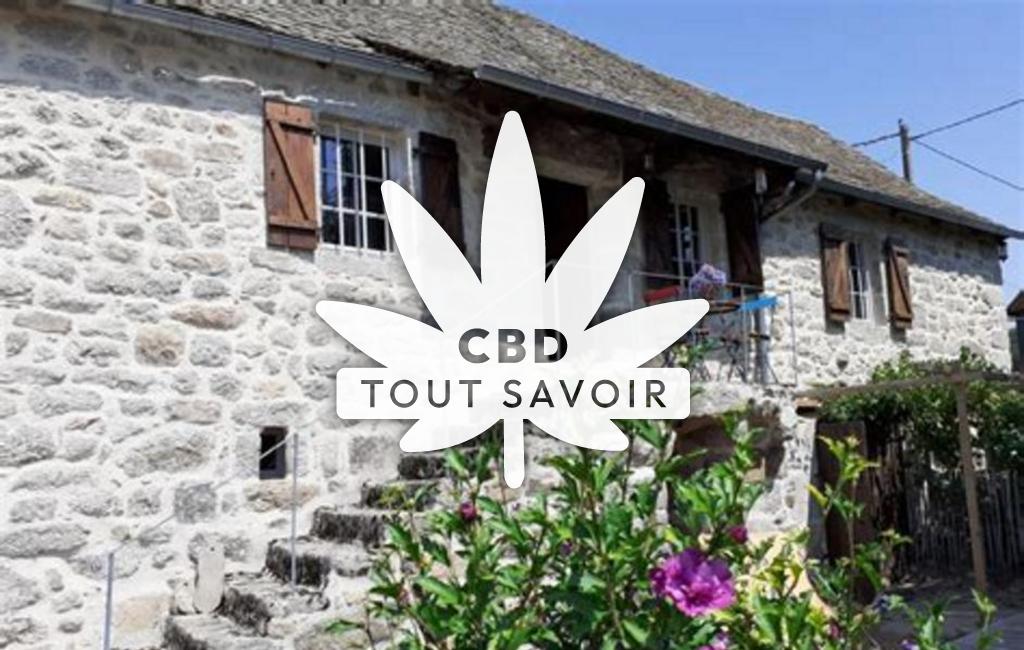Village à Saint-Amans-des-Cots avec feuille Cannabis CBD
