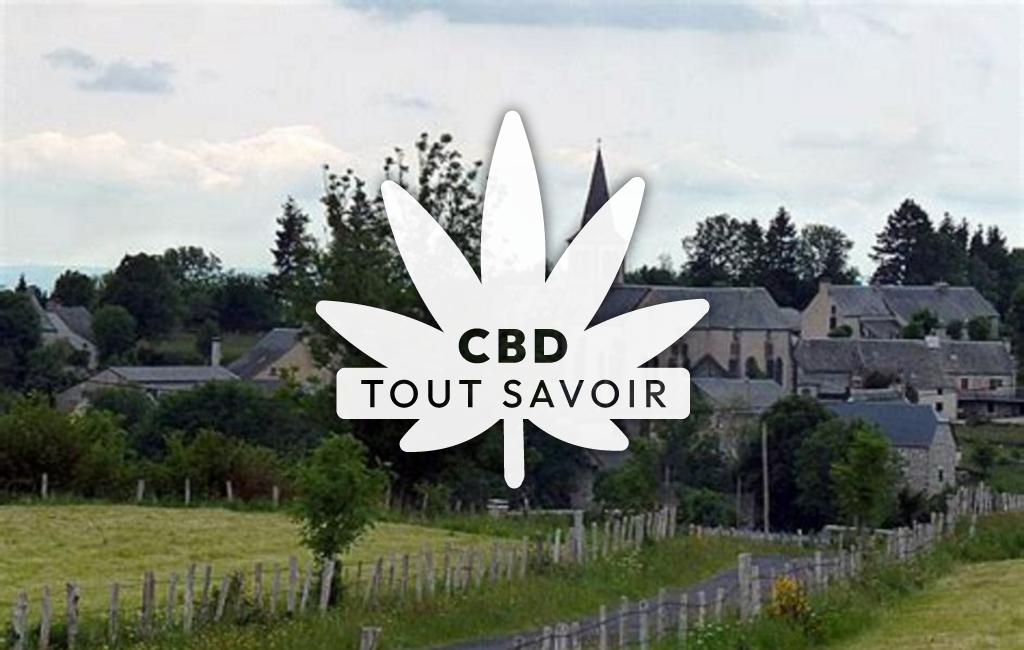 Village à Condom-D'Aubrac avec feuille Cannabis CBD