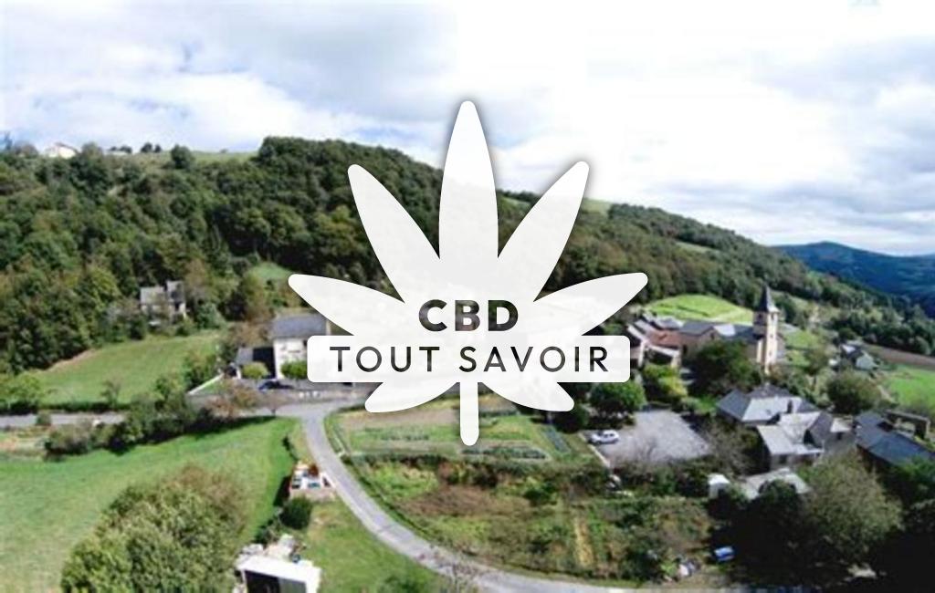Village à La-Bastide-Solages avec feuille Cannabis CBD
