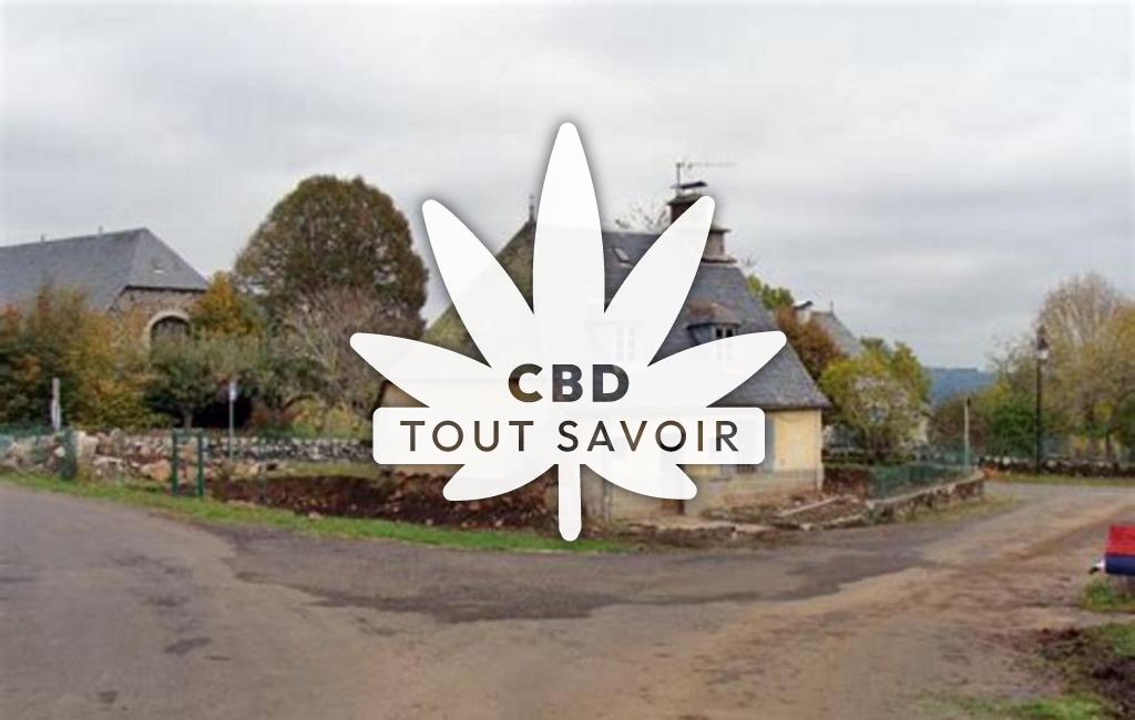 Village à Therondels avec feuille Cannabis CBD