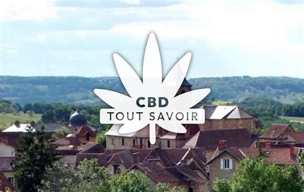 Village à Causse-Et-Diege avec feuille Cannabis CBD