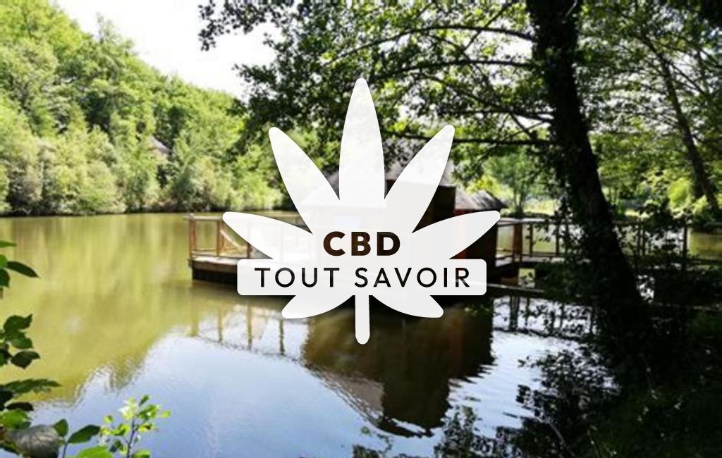 Village à Cabanes avec feuille Cannabis CBD