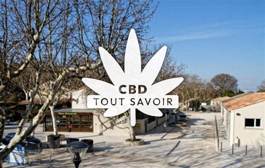 Village à Mas-Blanc-des-Alpilles avec feuille Cannabis CBD