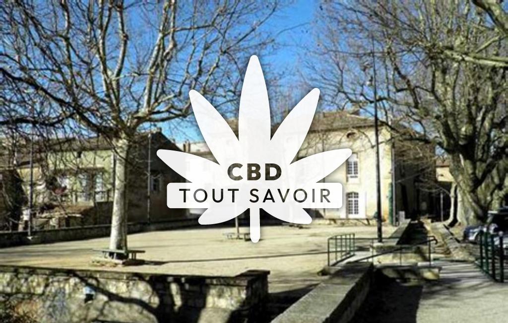 Village à Saint-Paul-les-Durance avec feuille Cannabis CBD