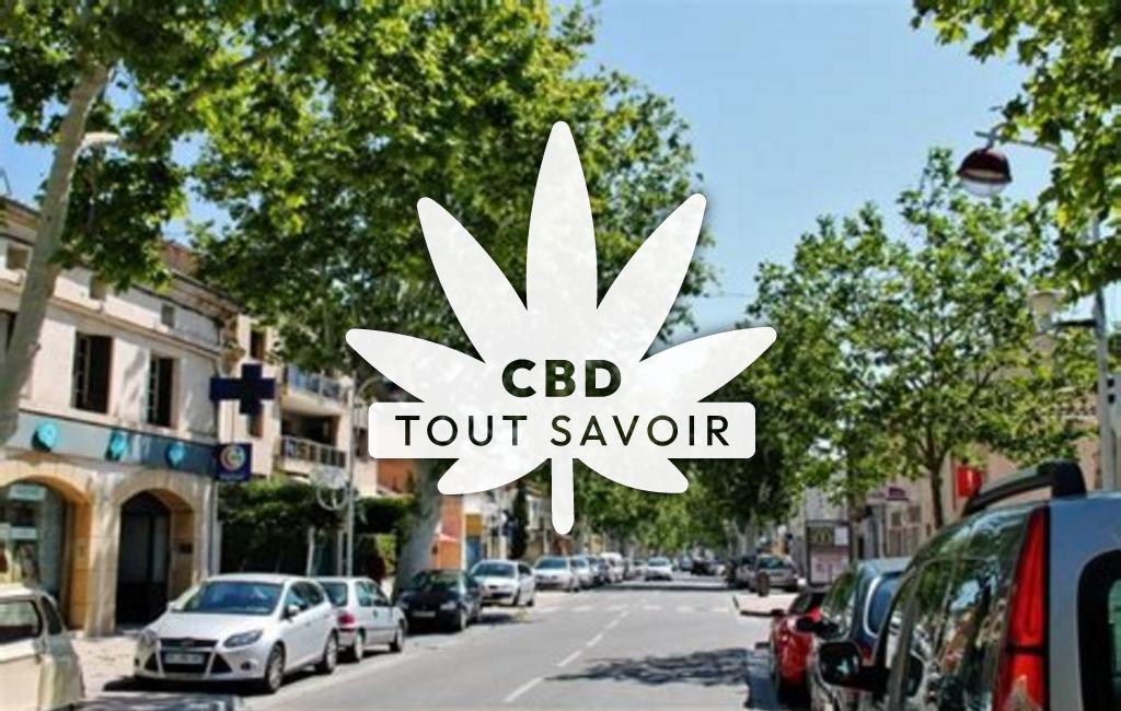 Village à Saint-Martin-de-Crau avec feuille Cannabis CBD