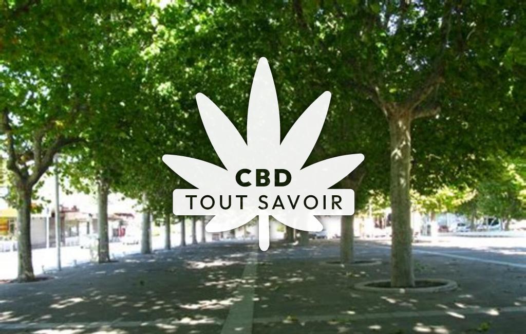 Village à Carnoux-en-Provence avec feuille Cannabis CBD