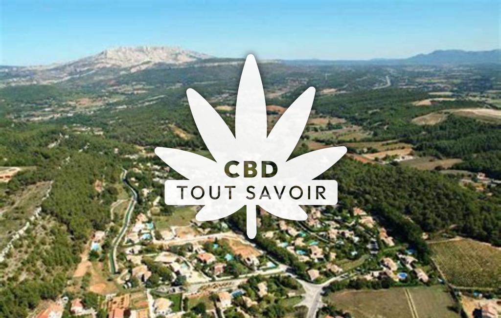 Village à Meyreuil avec feuille Cannabis CBD