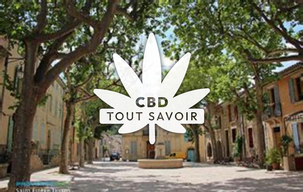 Village à Saint-ESainteve-Janson avec feuille Cannabis CBD