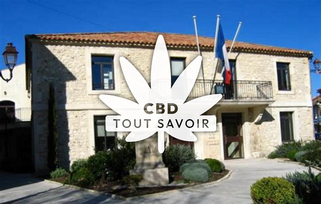 Village à Eyragues avec feuille Cannabis CBD