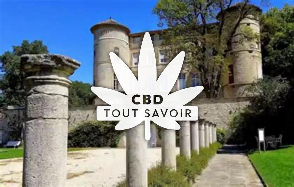 Village à La-Roque-D'Antheron avec feuille Cannabis CBD