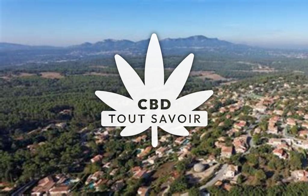 Village à Belcodene avec feuille Cannabis CBD
