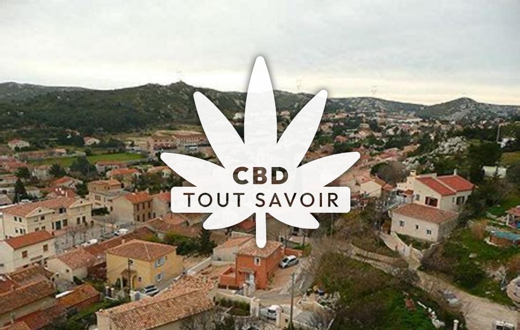 Village à Le-Rove avec feuille Cannabis CBD
