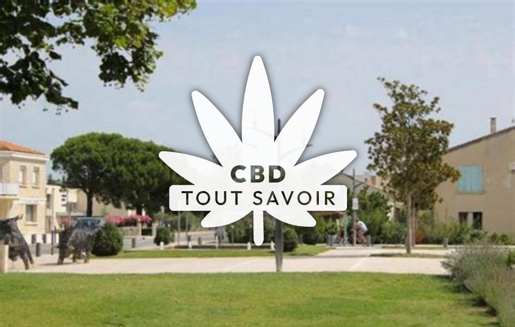 Village à Plan-D'Orgon avec feuille Cannabis CBD