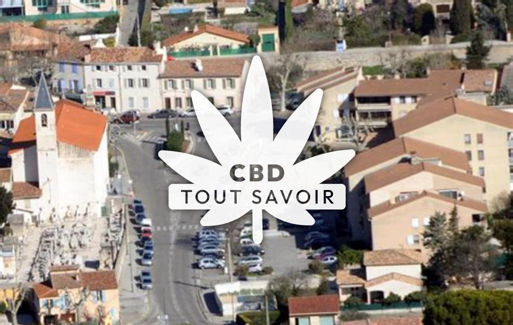 Village à La-Penne-sur-Huveaune avec feuille Cannabis CBD