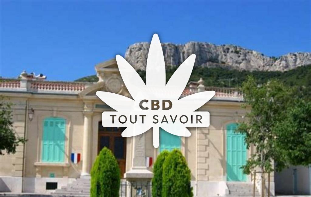 Village à Cadolive avec feuille Cannabis CBD