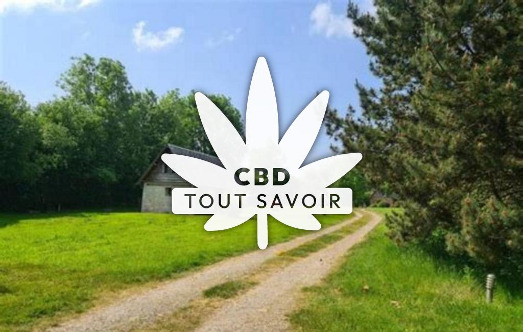 Village à Fauguernon avec feuille Cannabis CBD