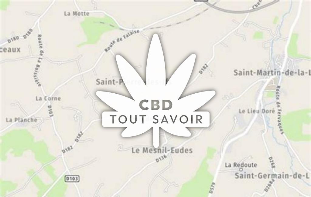 Village à Le-Mesnil-Eudes avec feuille Cannabis CBD