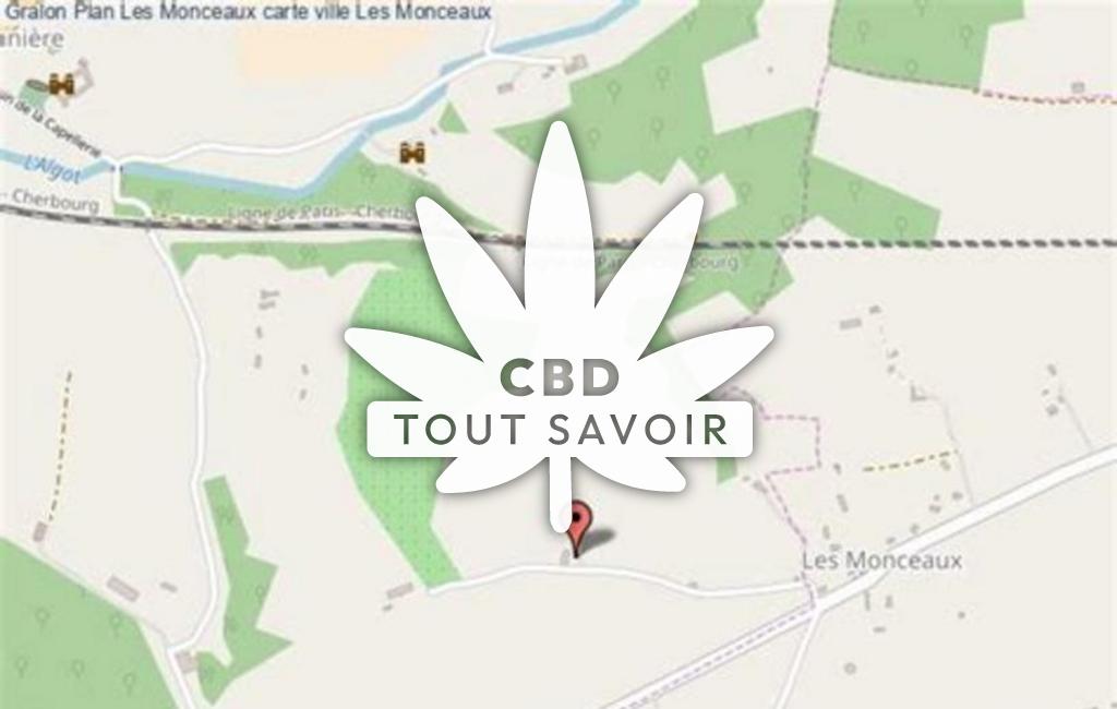 Village à Les-Monceaux avec feuille Cannabis CBD