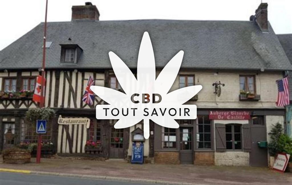 Village à L'Hotellerie avec feuille Cannabis CBD