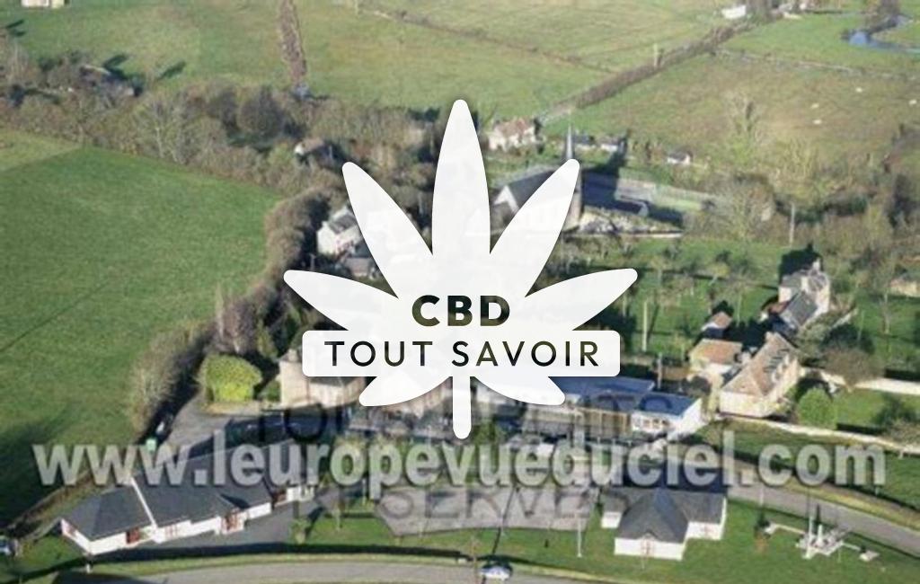 Village à Saint-Martin-de-Mailloc avec feuille Cannabis CBD