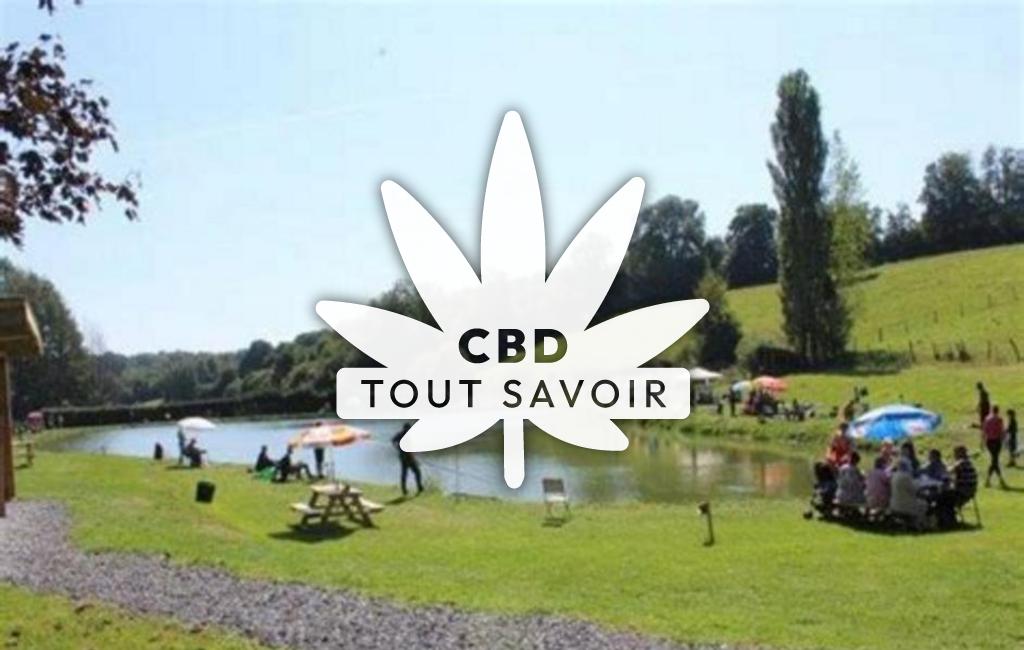 Village à Saint-Pierre-des-Ifs avec feuille Cannabis CBD