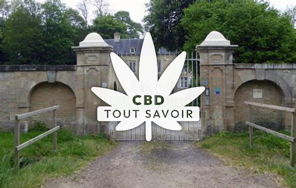 Village à Periers-sur-le-Dan avec feuille Cannabis CBD