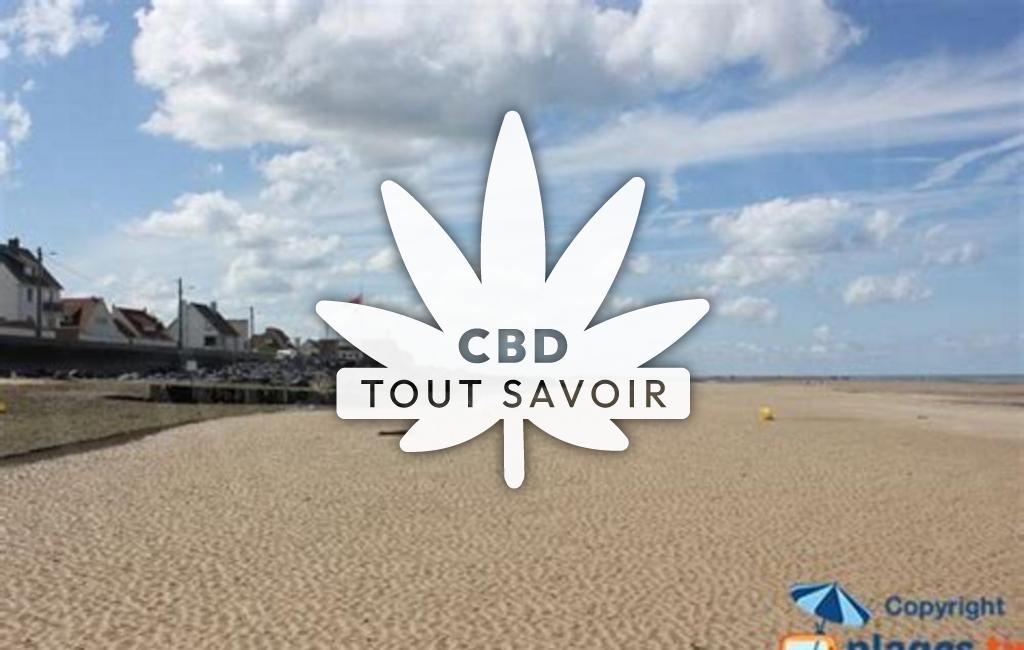 Village à Ver-sur-Mer avec feuille Cannabis CBD