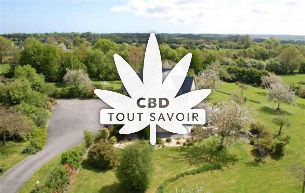 Village à Tracy-sur-Mer avec feuille Cannabis CBD