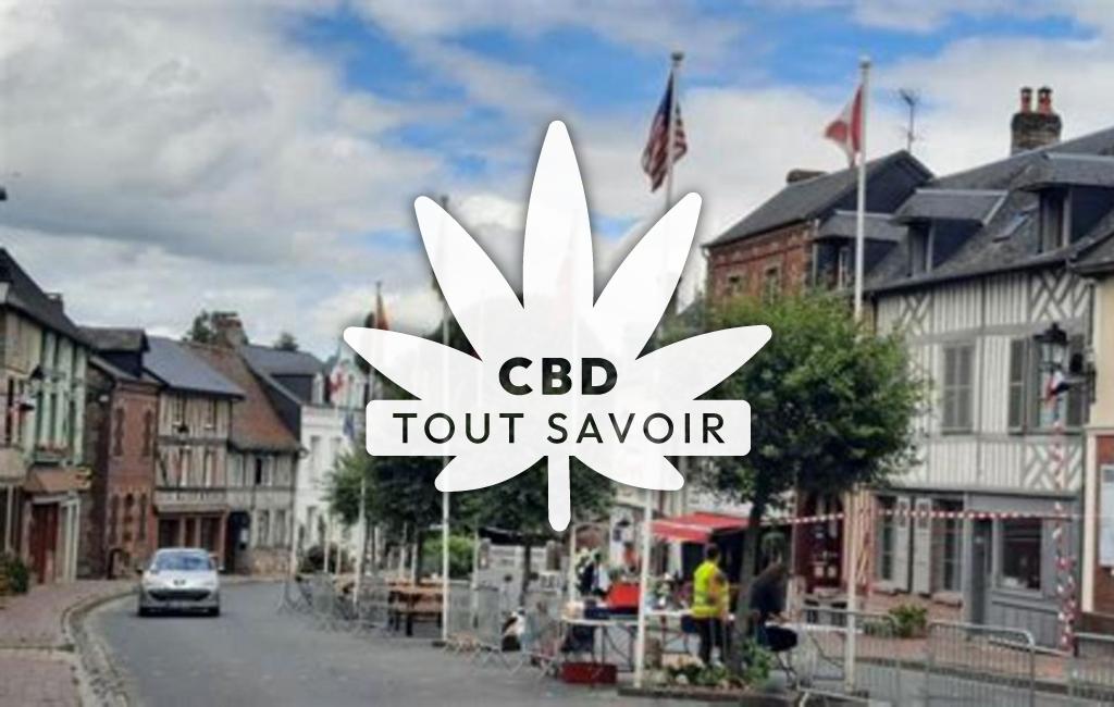 Village à Blangy-le-Chateau avec feuille Cannabis CBD
