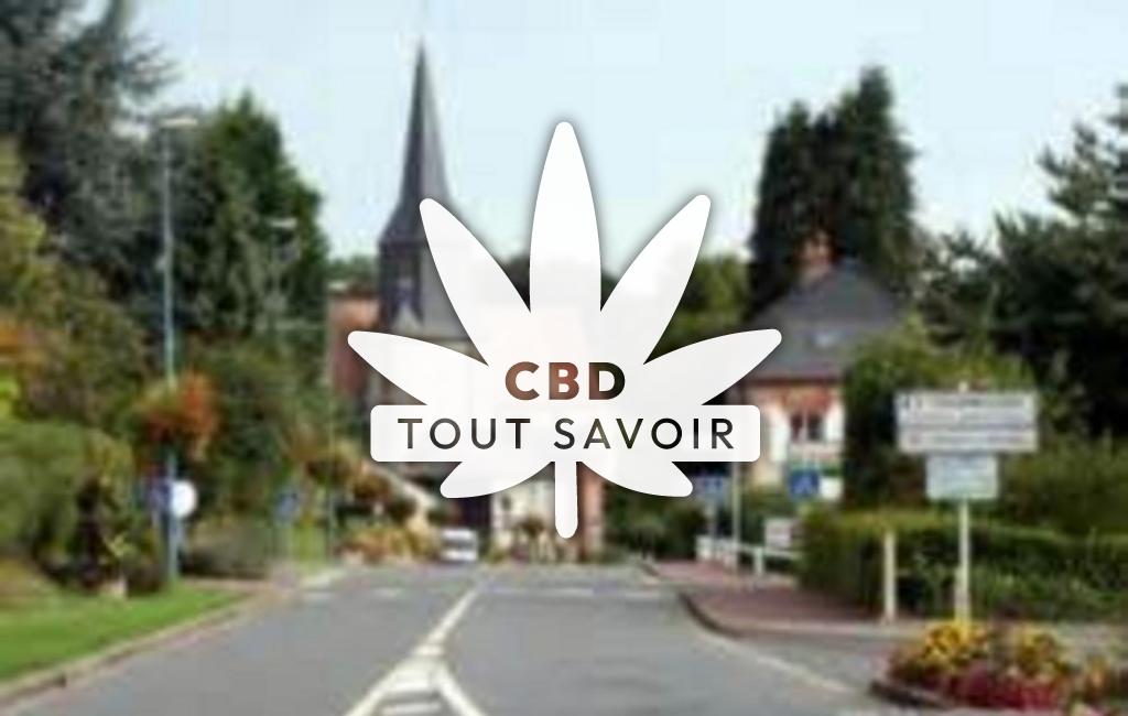 Village à Coquainvilliers avec feuille Cannabis CBD