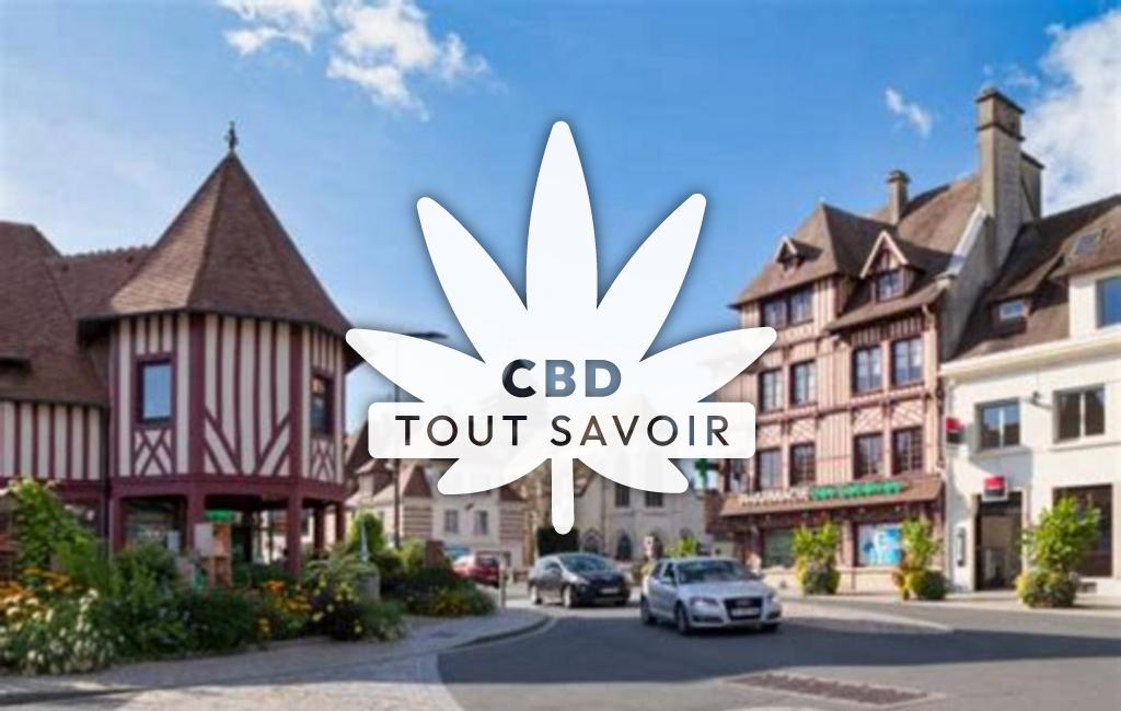 Village à Le-Brevedent avec feuille Cannabis CBD