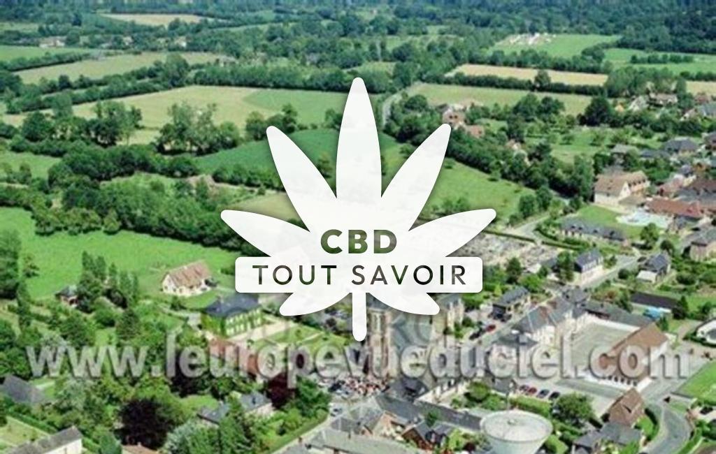 Village à Saint-Gatien-des-Bois avec feuille Cannabis CBD