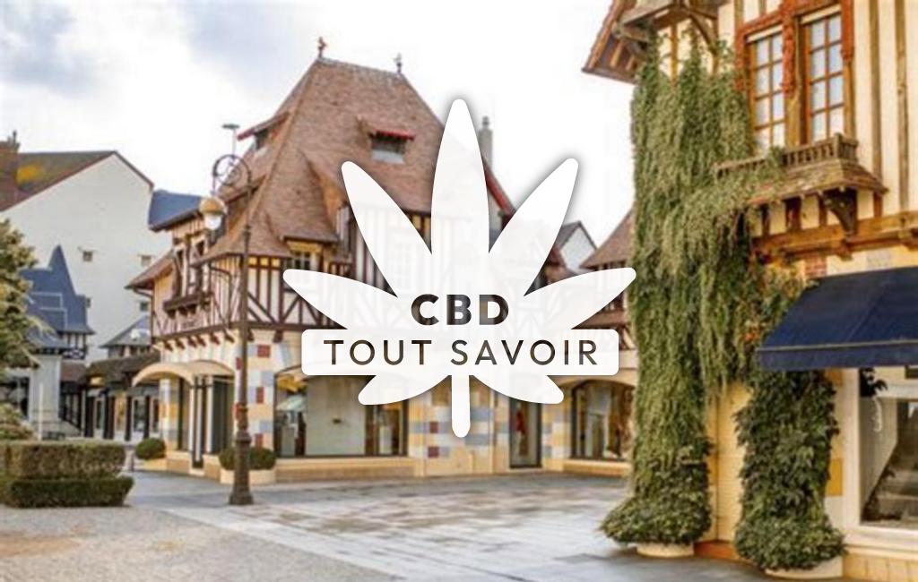 Village à Saint-Martin-aux-Chartrains avec feuille Cannabis CBD