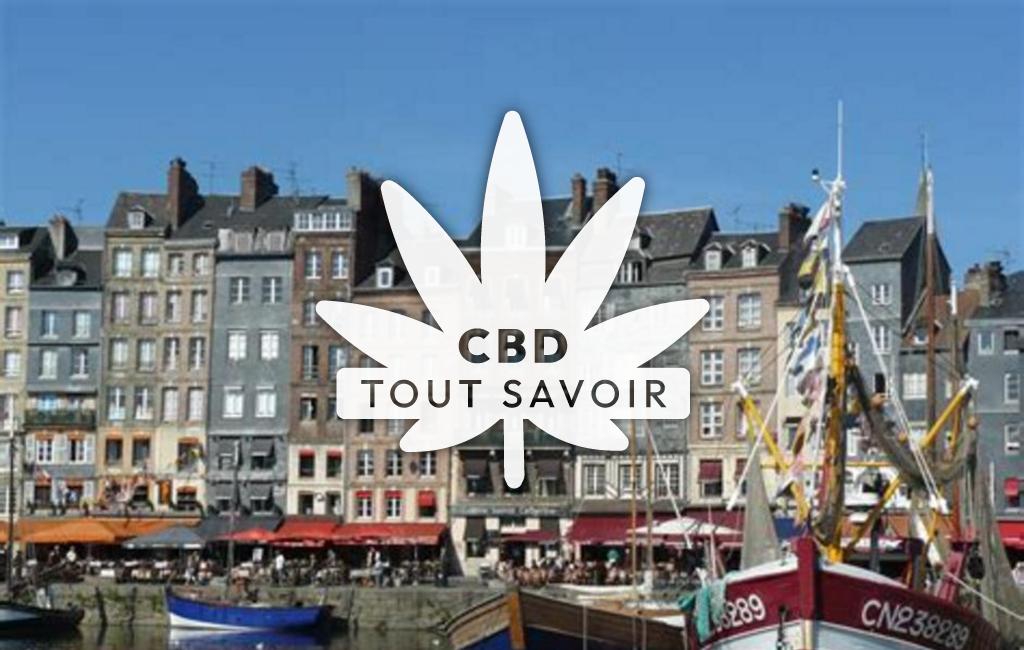 Village à Ouistreham avec feuille Cannabis CBD
