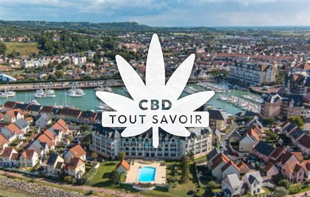 Village à Dives-sur-Mer avec feuille Cannabis CBD
