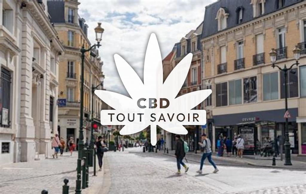 Village à Epaney avec feuille Cannabis CBD