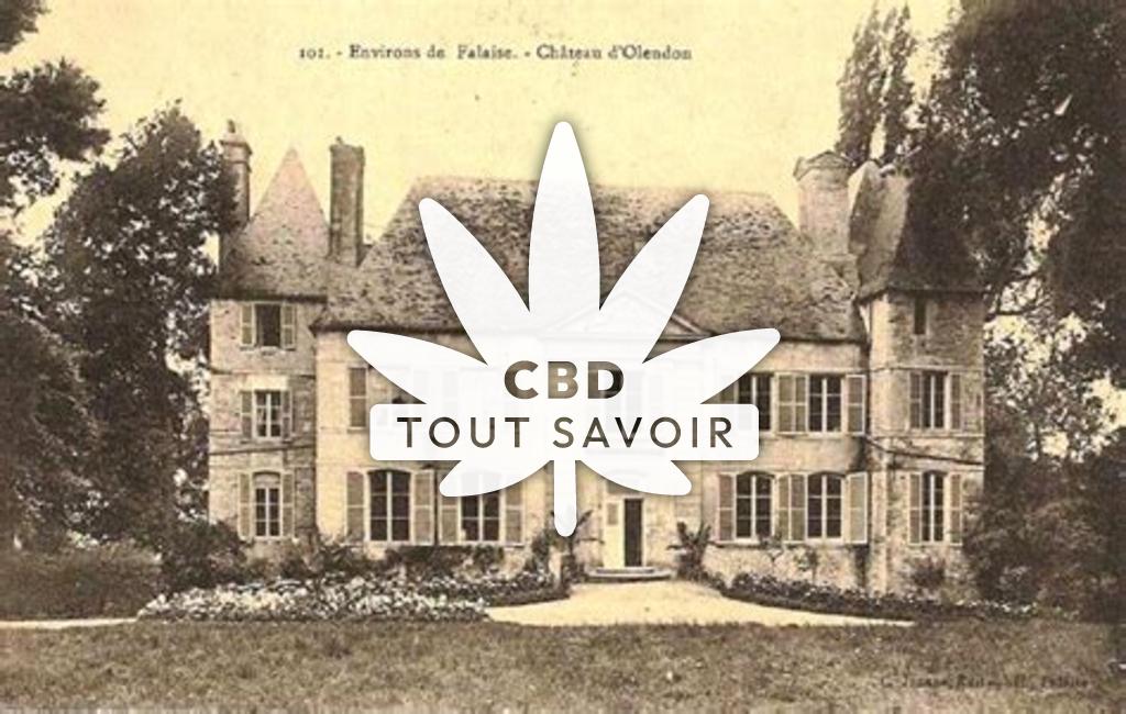 Village à Olendon avec feuille Cannabis CBD