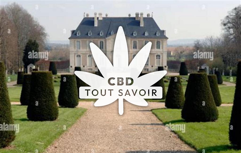 Village à Vendeuvre avec feuille Cannabis CBD