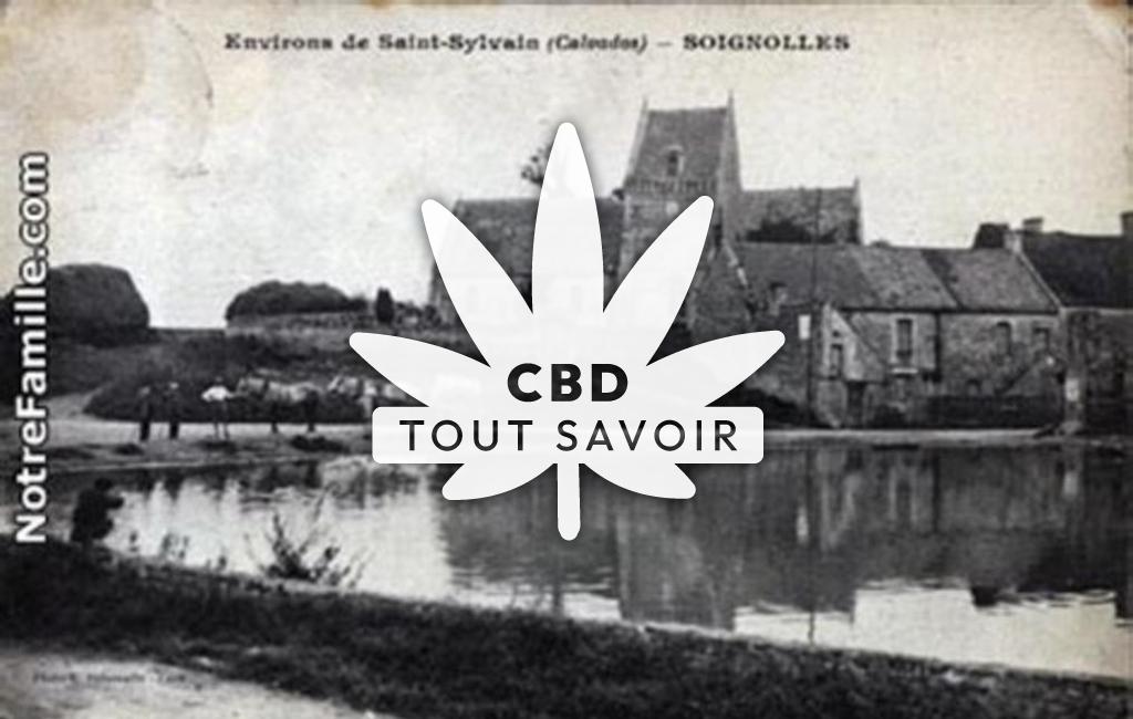Village à Soignolles avec feuille Cannabis CBD