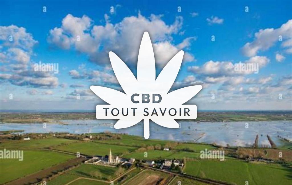 Village à Monfreville avec feuille Cannabis CBD