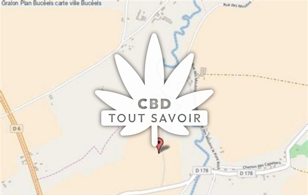 Village à Buceels avec feuille Cannabis CBD