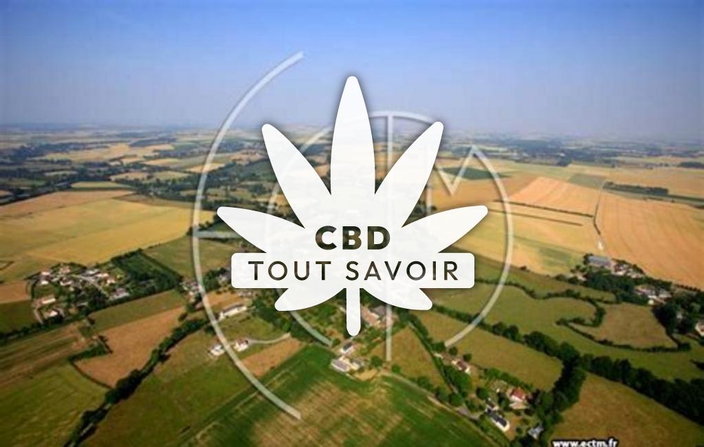 Village à Chouain avec feuille Cannabis CBD