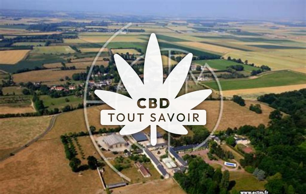 Village à Ducy-Sainte-Marguerite avec feuille Cannabis CBD